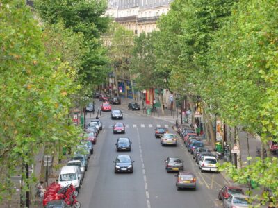 Tree-lined city street with parked cars